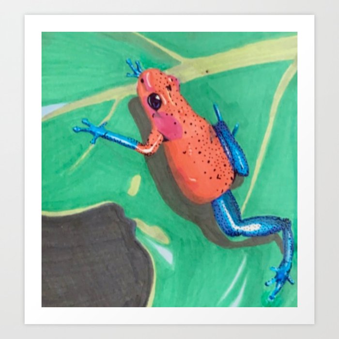 Frog on Leaf Art Print