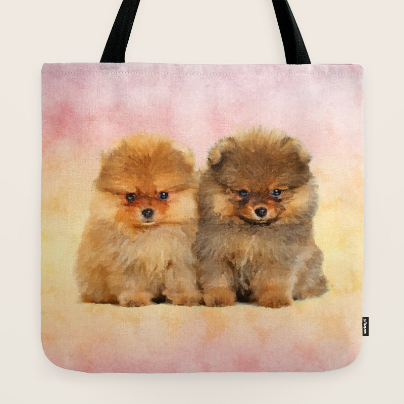 pomeranian in bag