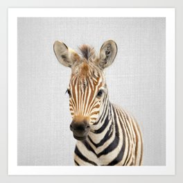 Baby Zebra - Colorful Art Print