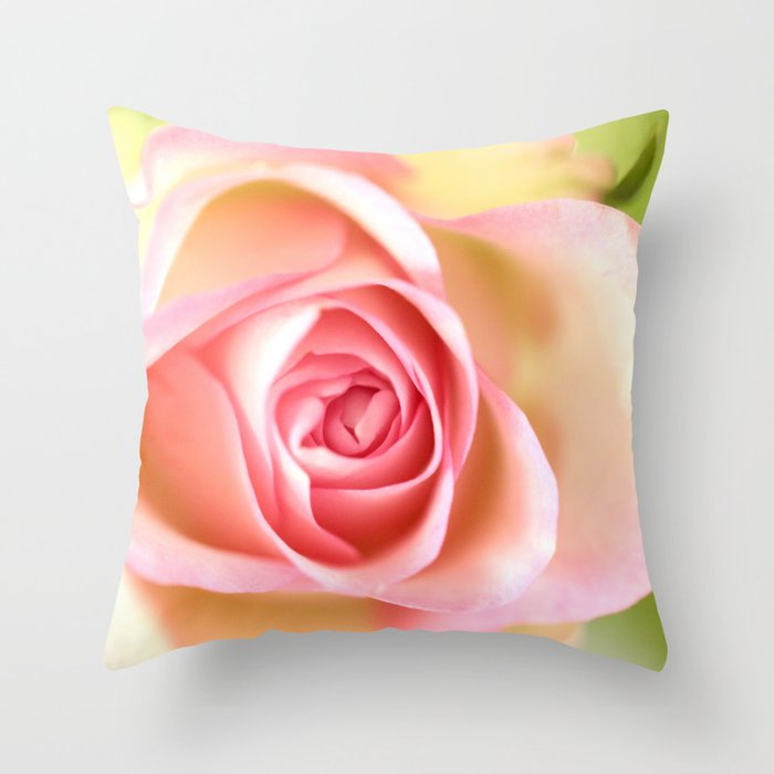 Pink Rose Close-up #decor #society6 #buyart Throw Pillow