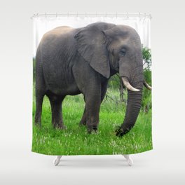 South Africa Photography - An Elephant On The Green Grassy Field Shower Curtain