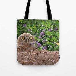Owl and Butterfly Tote Bag