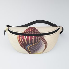 Art from "Conchology, or, The Natural History of Shells," 1811 (benefiting The Nature Conservancy) Fanny Pack