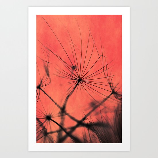 Shadows Art Print