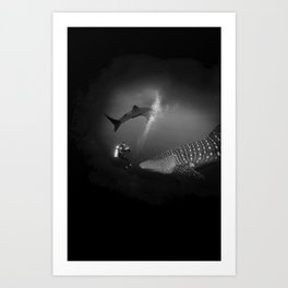 Whale shark chasing diver Art Print