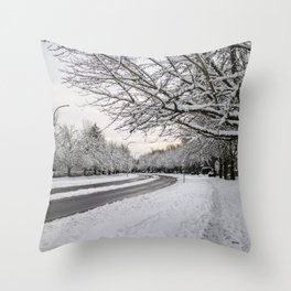 Paths In Winter Throw Pillow