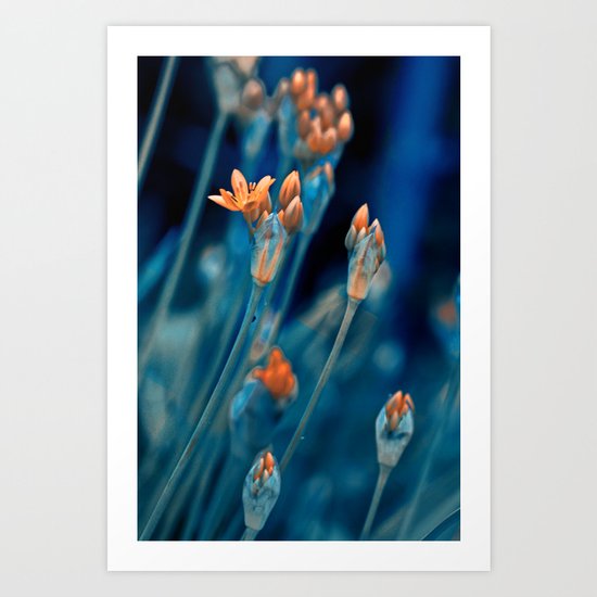 Floral abstract(7). Art Print