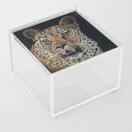 Tiger by riger Acrylic Box