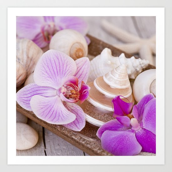 Maritime and pink Orchid Still Life Art Print