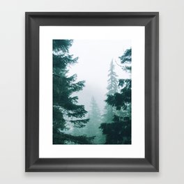 Mount Rainier Fog Gerahmter Kunstdruck