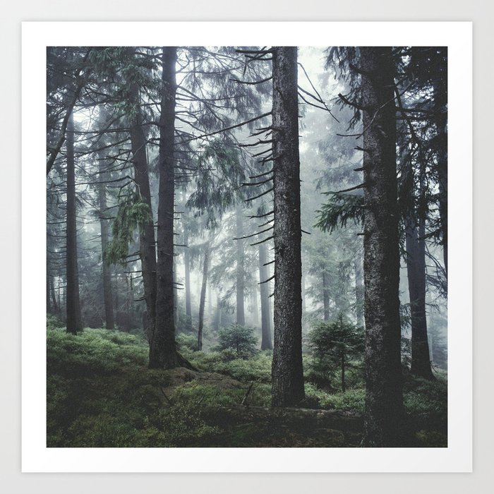 Art Print