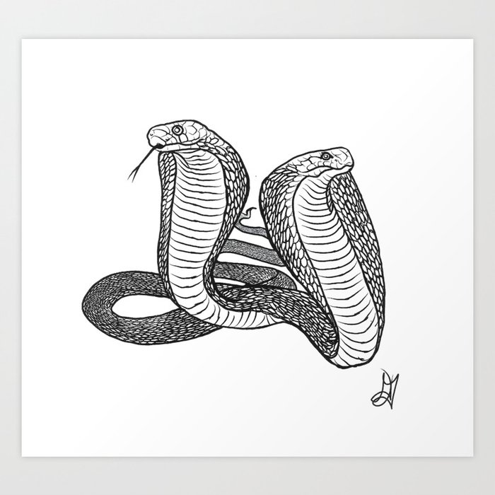 Two-headed Snake Art Print.