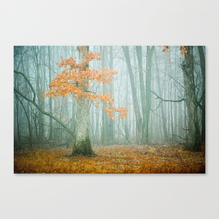 Autumn Woods Canvas Print