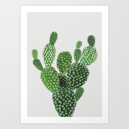 Cactus II Art Print