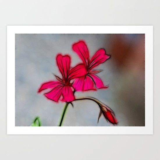Geranium Art Print