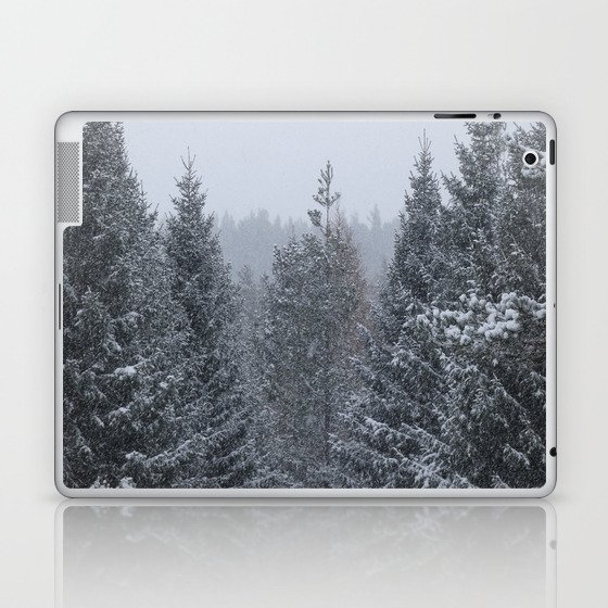 Scottish Highlands Snow Covered Pine Forest  Laptop & iPad Skin