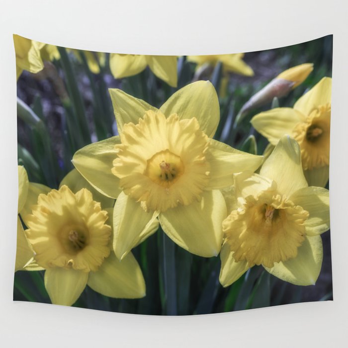 Spring time Daffodils Wall Tapestry