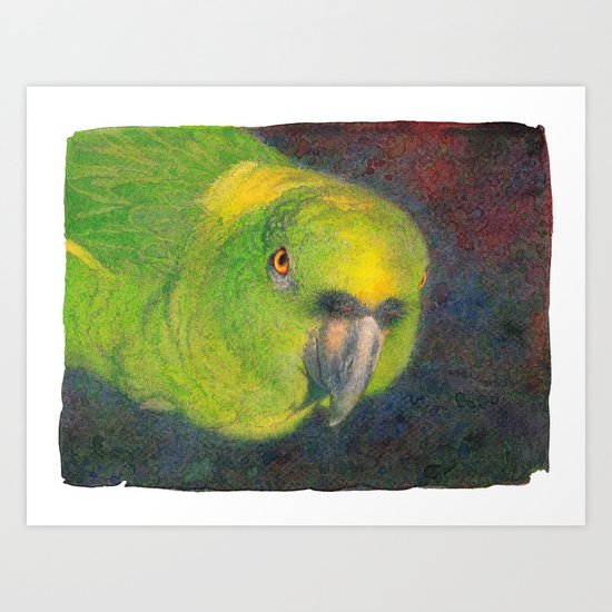 Green parrot Art Print