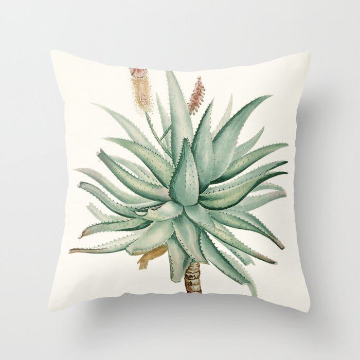 Aloe Succulent Botanical Illustration Throw Pillow