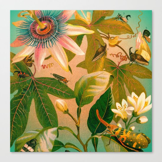Passion Flower with Bugs Canvas Print