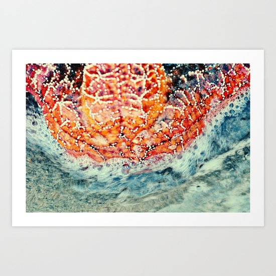Starfish Art Print