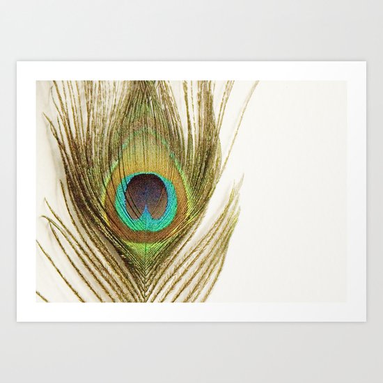 Peacock Feather Art Print