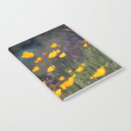 California Poppies in the Spring Notebook