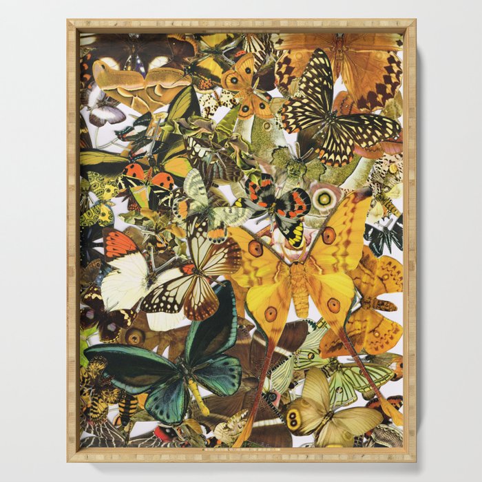Vintage Butterfly Art - Butterflies My Goodness - Sharon Cummings Serving Tray