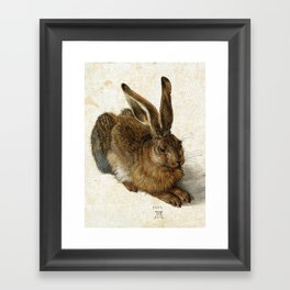 Albrecht Durer Hare Framed Art Print
