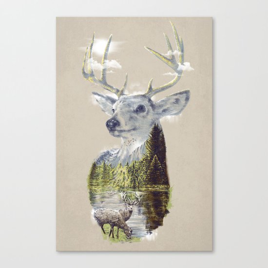 Mo'deer' Nature Canvas Print