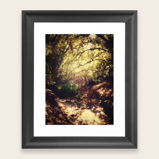 Forest Framed Art Print