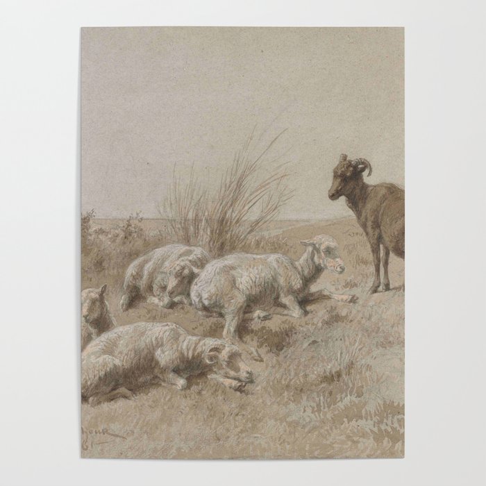 Rosa Bonheur, Sheep, Mouton Poster