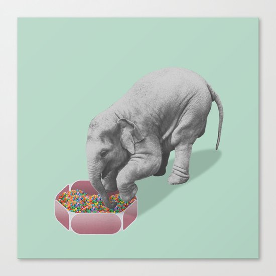 Gourmand elephant (animals collection) Canvas Print
