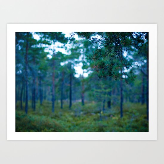 Another Forest Art Print