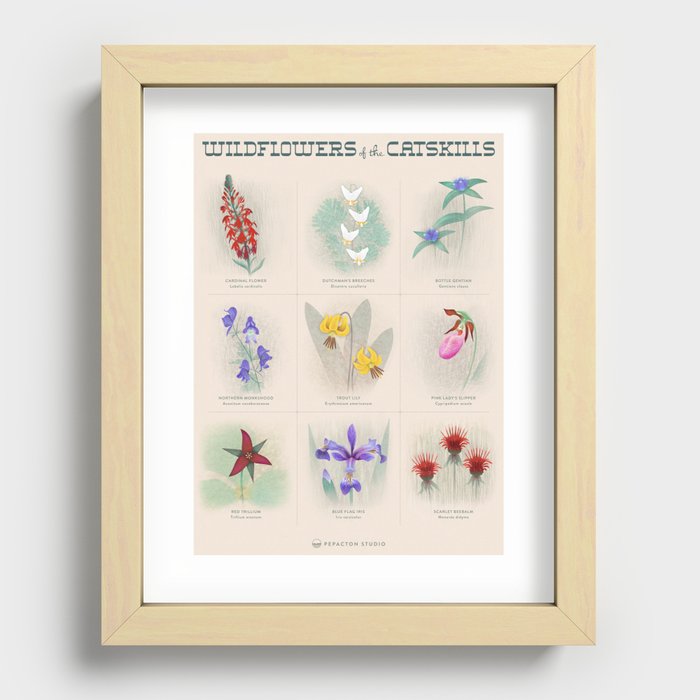 Wildflowers Of The Catskills Recessed Framed Print