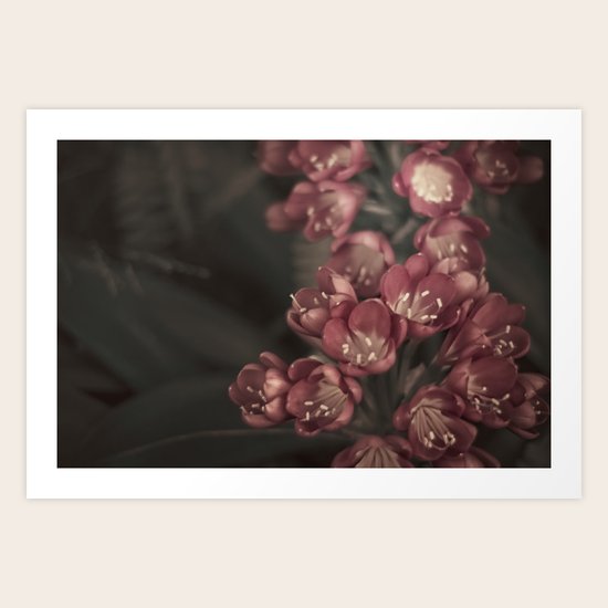 serotonin Art Print
