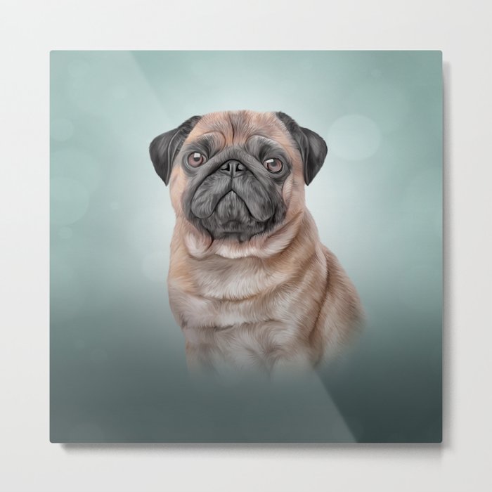 Drawing dog Pug Metal Print