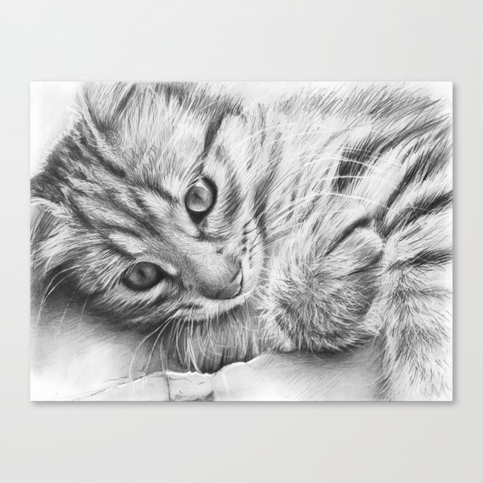 Cat Kitten Dawing Canvas Print