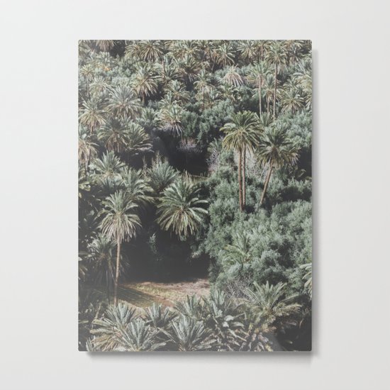 Palm Tree Jungle Metal Print