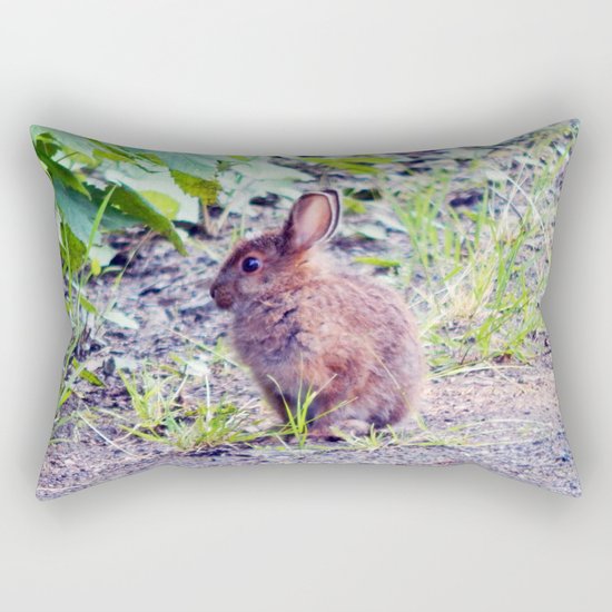 Easter Bunny perhaps Rectangular Pillow