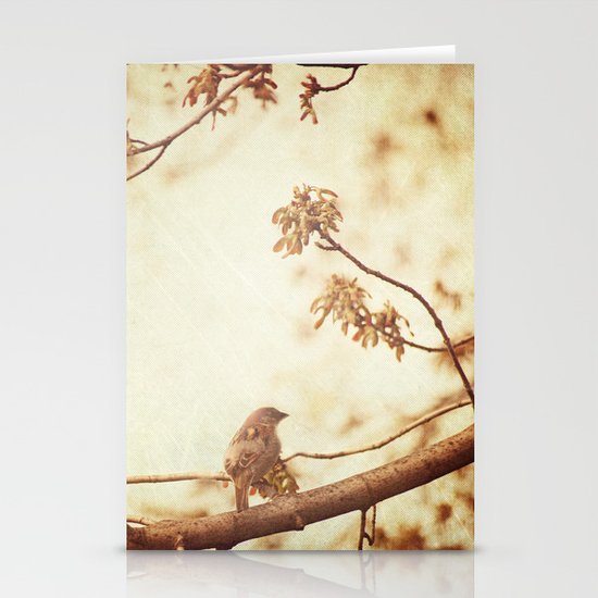Morning Song Stationery Cards