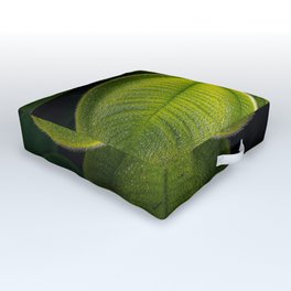 replicate Outdoor Floor Cushion | Nature, Discover, Waterdrops, Matthewblum, Flora, Explore, Awesome, Beautiful, Mattblum, Leaf 