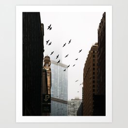 Chicago Birds In Flight Art Print