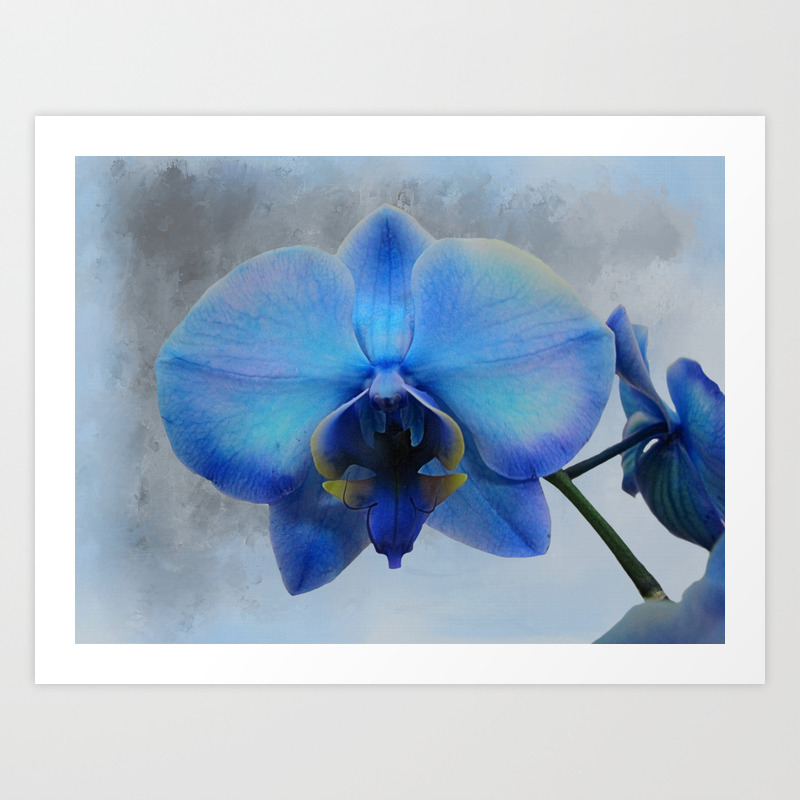 Blue Orchid Flower Art Modern Cottage Chic Home Decor Art A461 Art