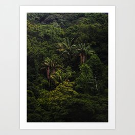 Tijuca Forest nº 2 Art Print