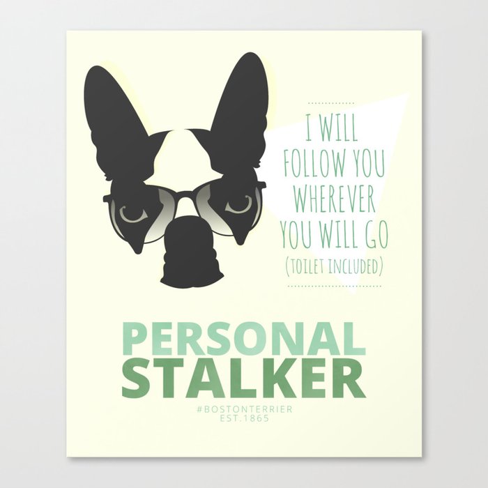 Boston Terrier: Personal Stalker. Canvas Print