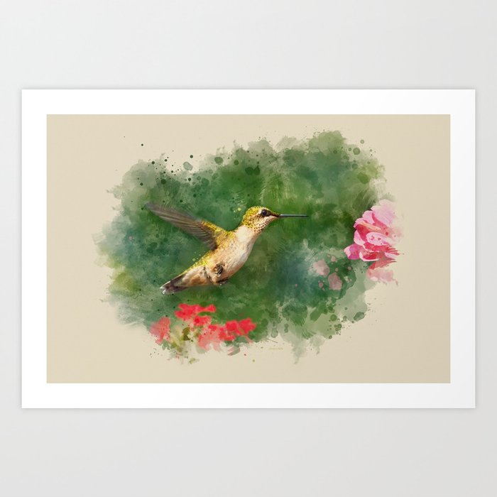 Hummingbird Watercolor Painting Art Print By Christinarollo Society6