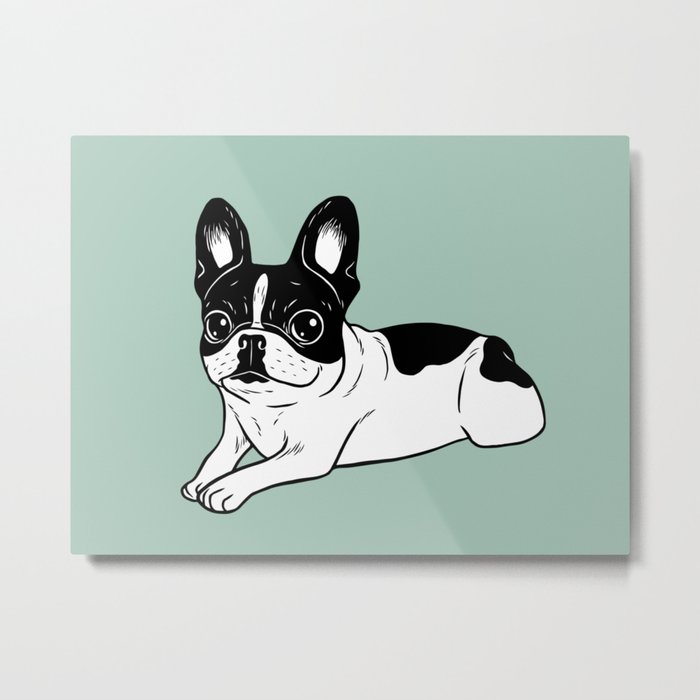 Double Hooded Pied Frenchie Metal Print