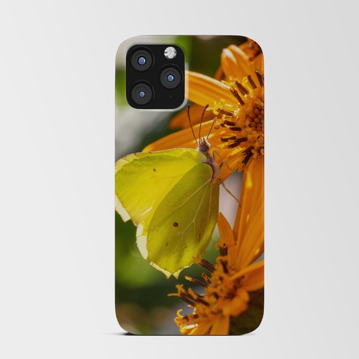 Yellow Butterfly Collecting Pollen On Orange Flower iPhone Card Case