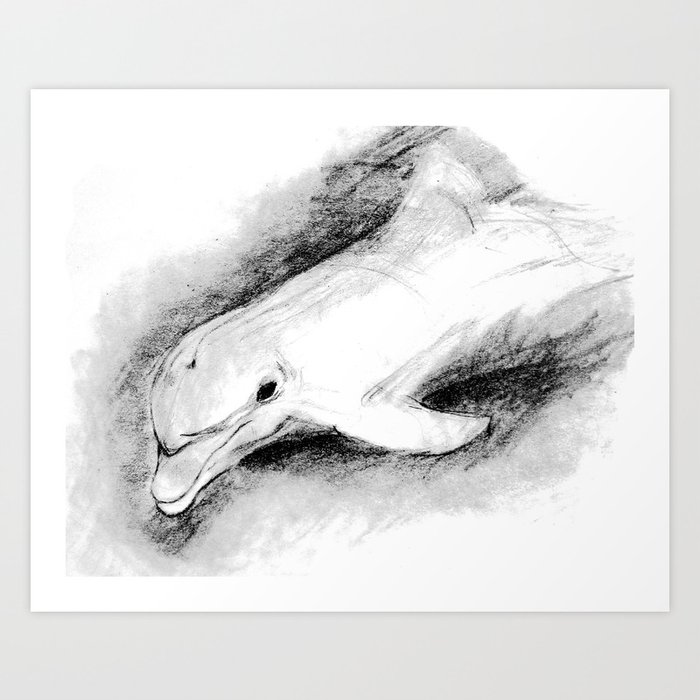 white dolphin Art Print